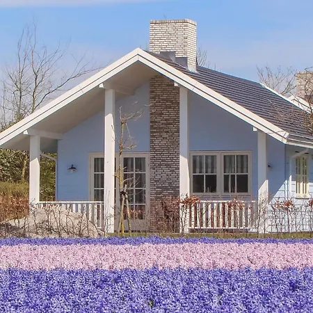 Casa vacanze 3 Bedroom Lovely In Noordwijk